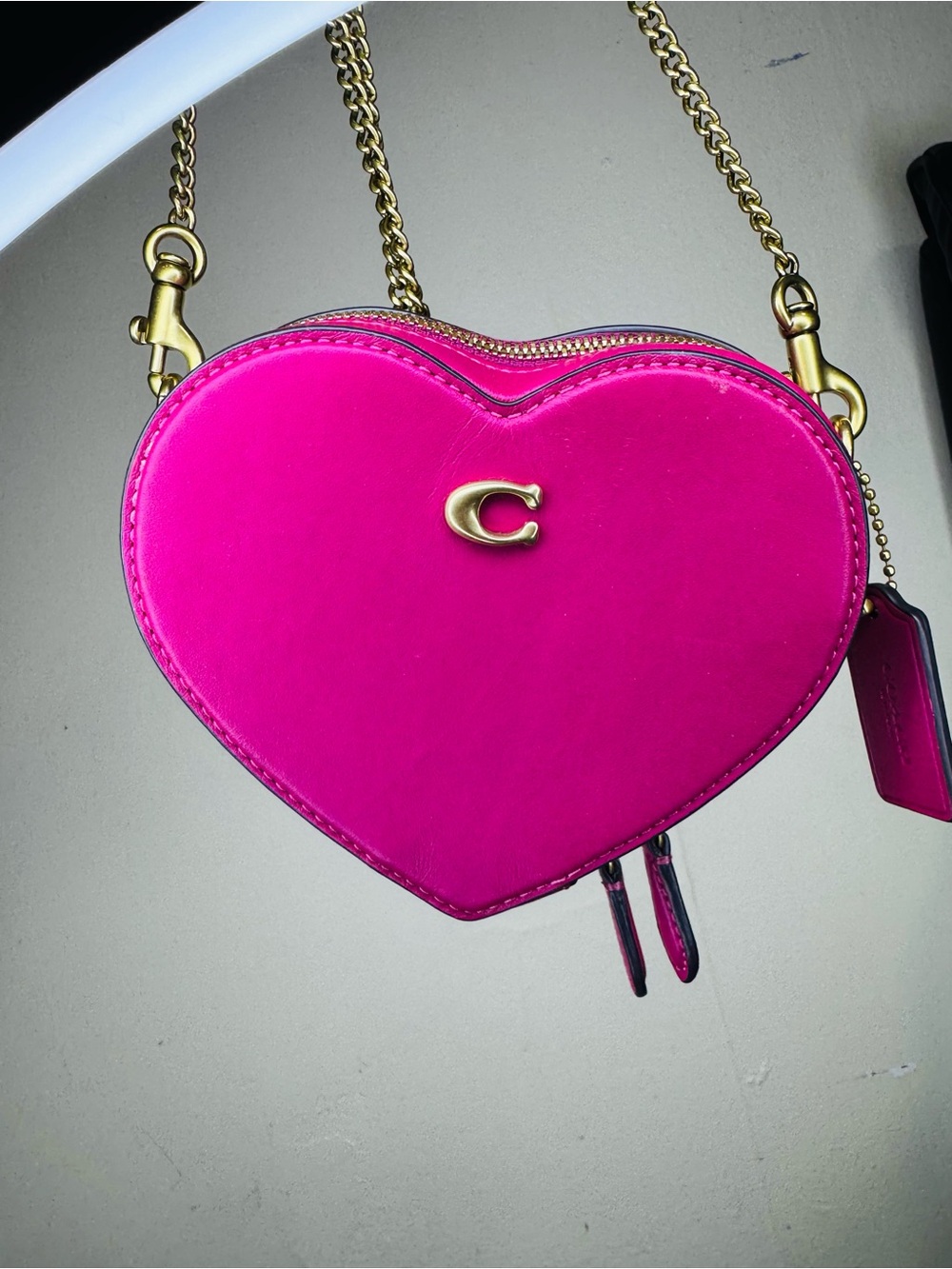 Coach Heart Crossbody 14 bag